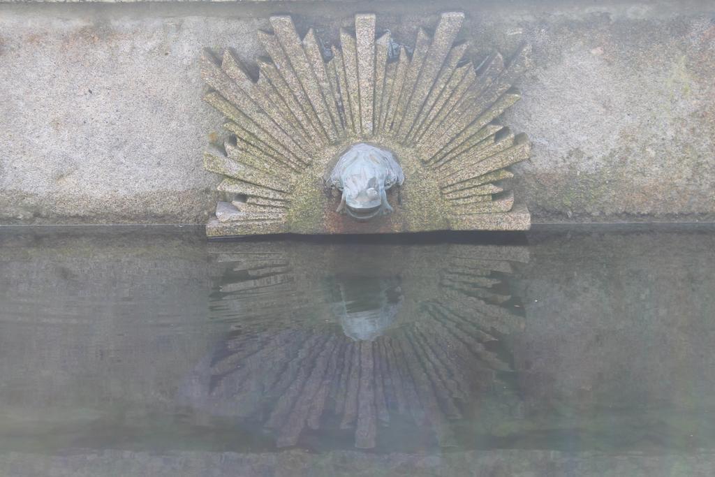 فيلا Quinta Da Eira Do Sol غيمارايش المظهر الخارجي الصورة