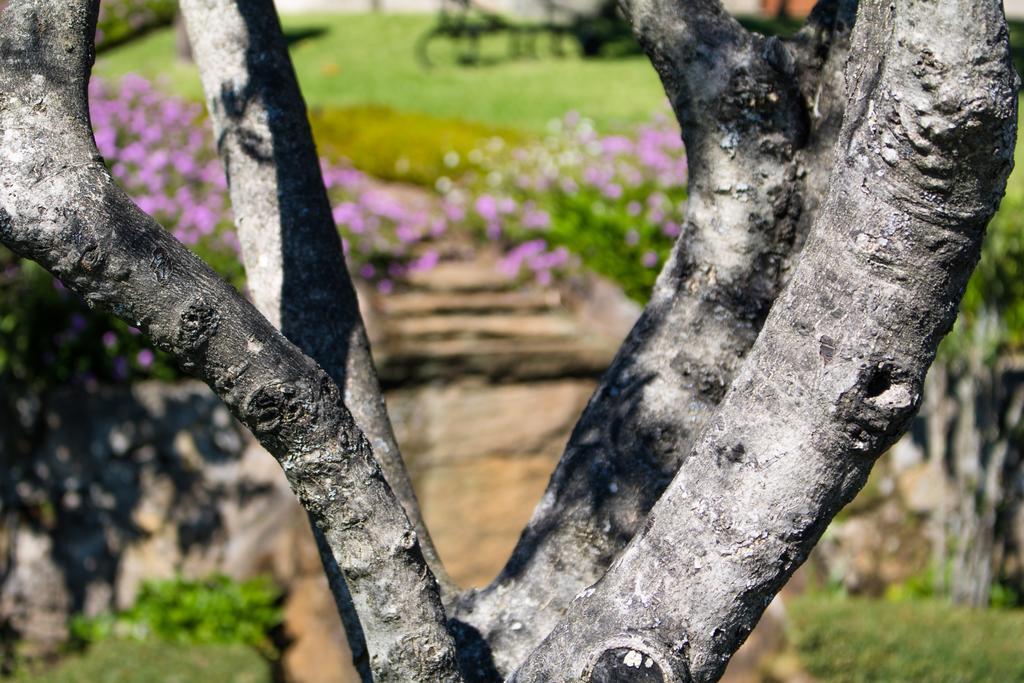 فيلا Quinta Da Eira Do Sol غيمارايش المظهر الخارجي الصورة
